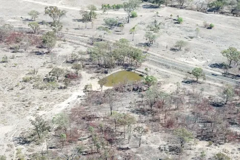 Property photo of 18664 Cunningham Highway Karara QLD 4352