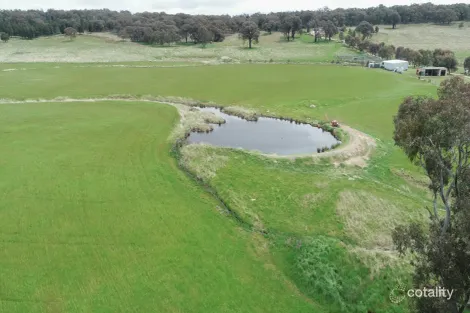 823 Peabody Rd, Molong, NSW 2866