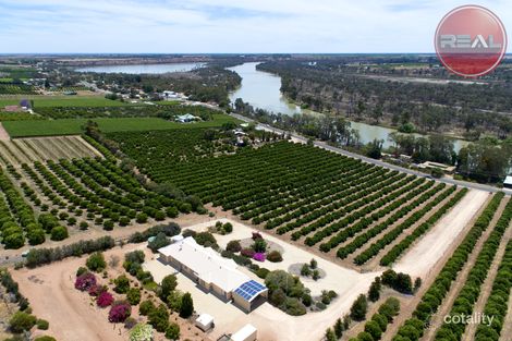 Property photo of 359 Ramco Road Ramco SA 5322