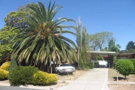 87 Warren Rd, Modbury North, SA 5092