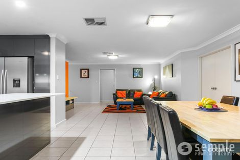 Property photo of 36 Macquarie Boulevard Hammond Park WA 6164