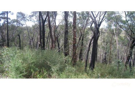 199 Lowes Rd, Chum Creek, VIC 3777