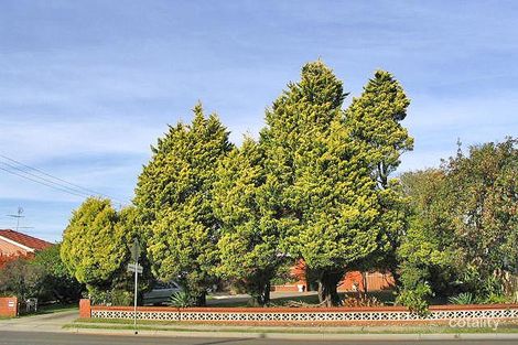 Property photo of 66 Cabramatta Road East Cabramatta NSW 2166