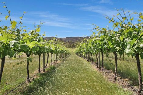 Property photo of 1241 Beechworth-Wangaratta Road Everton Upper VIC 3678