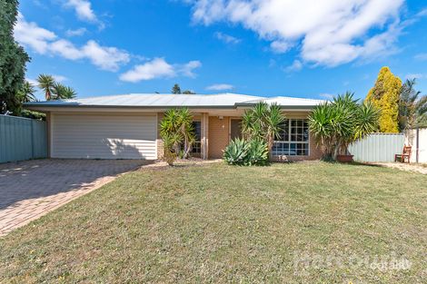 4 Lenswood Rtt, Clarkson, WA 6030
