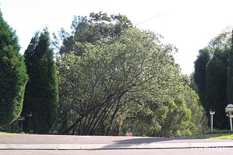 Property photo of 85 Main Road Cardiff Heights NSW 2285