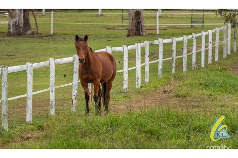 Property photo of 47 Phar Lap Parade Karalee QLD 4306