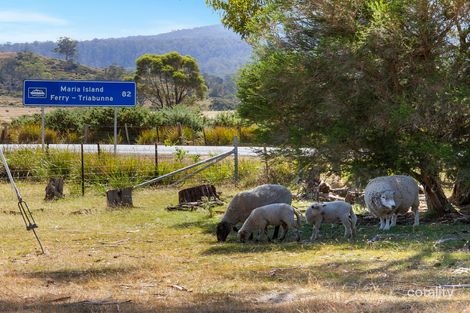 Property photo of 16478 Tasman Highway Bicheno TAS 7215