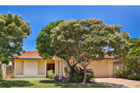 Property photo of 7 Amarina Court Annandale QLD 4814