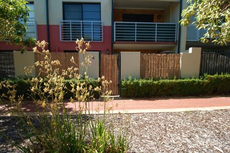 4/8 Kadina St, North Perth, WA 6006