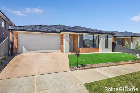 5 Wolfson St, Tarneit, VIC 3029