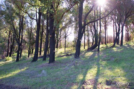 Property photo of 3 Bayview Rise Shadforth WA 6333