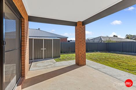 Property photo of 13 Eucalyptus Street Jackass Flat VIC 3556