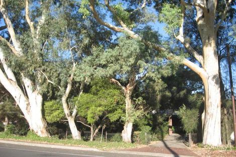 17 Reids Rd, Highbury, SA 5089