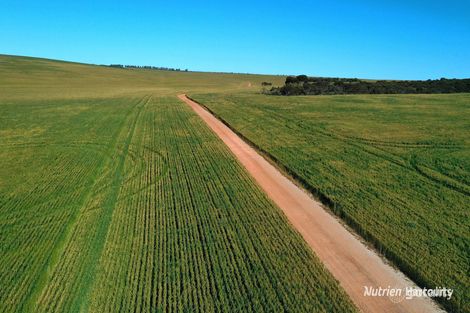 6062 Coorow-Green Head Rd, Warradarge, WA 6518