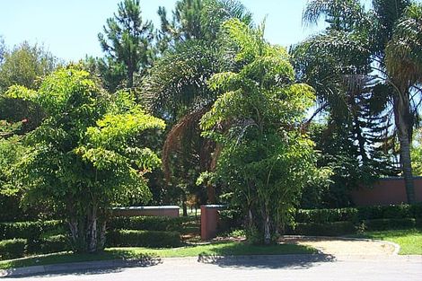 122 Sheehan Ave, Hope Island, QLD 4212