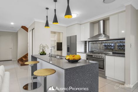 Property photo of 46 Kenneth Street Coorparoo QLD 4151