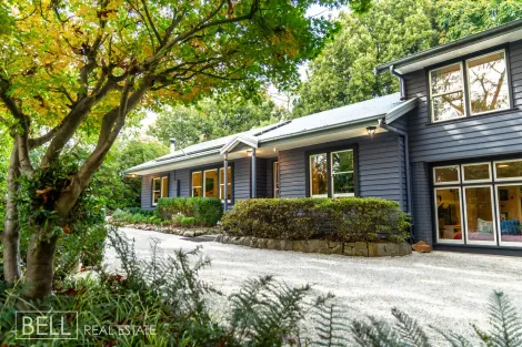 43 One Tree Hill Rd, Ferny Creek, VIC 3786