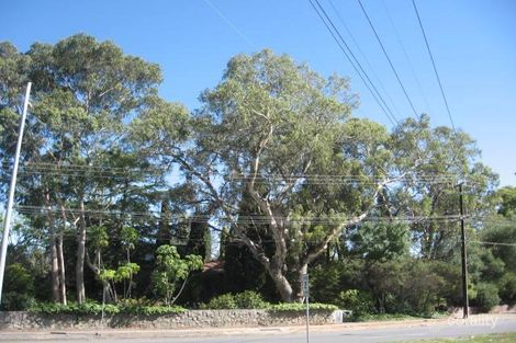 1121 North East Rd, Ridgehaven, SA 5097