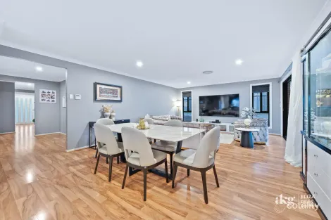 Property photo of 53 Teal Circuit Greenbank QLD 4124