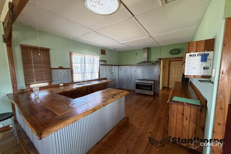 Property photo of 19 Phelhampton Crescent Jennings NSW 4383