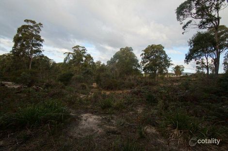 Property photo of 19 Possum Road Beaconsfield TAS 7270