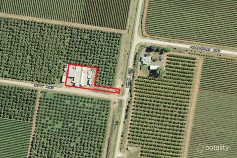 121 Sainty Rd, Hanwood, NSW 2680