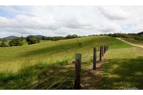Property photo of 565 Lower Buckra Bendinni Road Buckra Bendinni NSW 2449