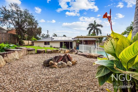 Property photo of 16 Paul Tully Avenue Collingwood Park QLD 4301