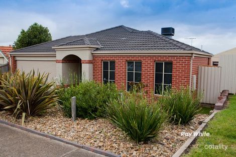 Property photo of 6 Sundew Drive Langwarrin VIC 3910