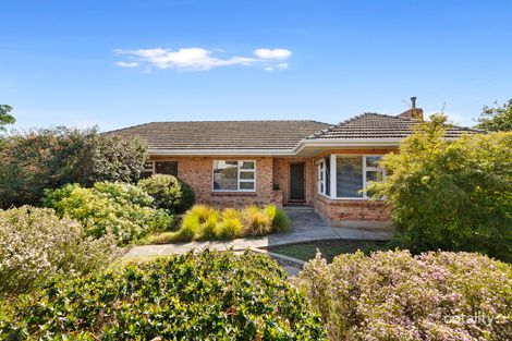 11 Oliphant Ave, Oaklands Park, SA 5046