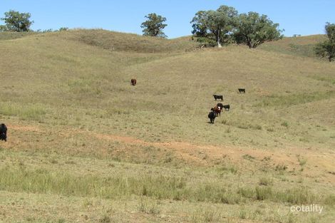 133 Jump Up Rd, Barraba, NSW 2347