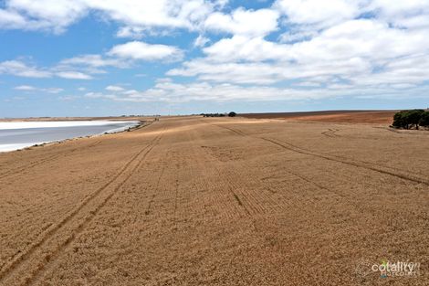 Lot 201 Gypsum Pit Rd, Honiton, SA 5576