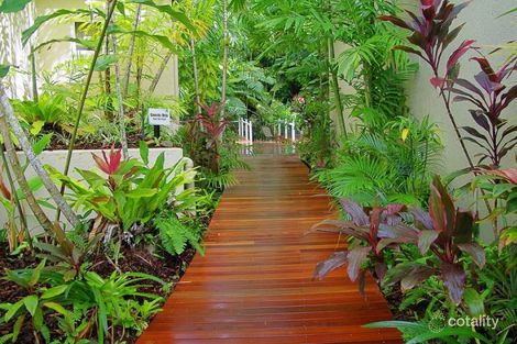 Property photo of 6 Triton Street Palm Cove QLD 4879