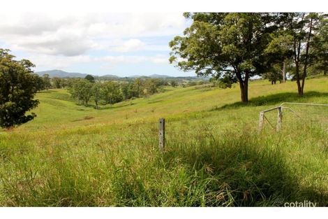 Property photo of 565 Lower Buckra Bendinni Road Buckra Bendinni NSW 2449