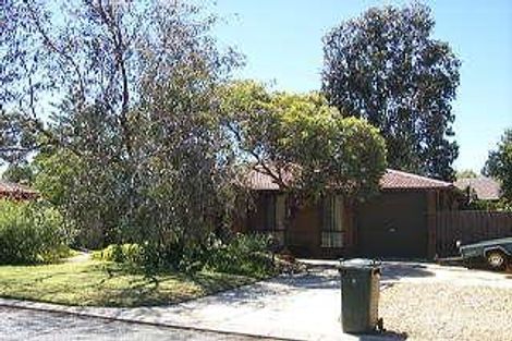 19 Ilex Way, Forrestfield, WA 6058