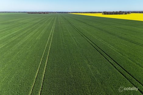 349 Warregal Rd, Tichborne, NSW 2870