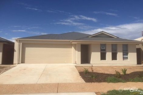 Property photo of 13 Pitt Street Munno Para West SA 5115