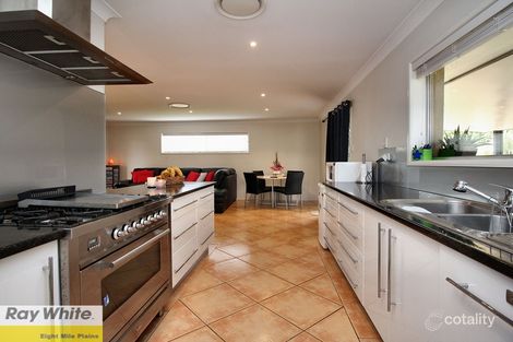 Property photo of 6 Wenlock Crescent Springwood QLD 4127