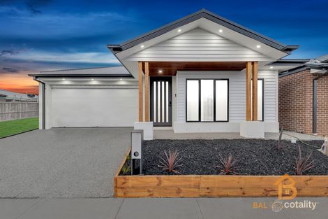 Property photo of 12 Canter Road Tarneit VIC 3029