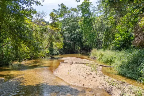 Property photo of 516 Whyanbeel Road Whyanbeel QLD 4873