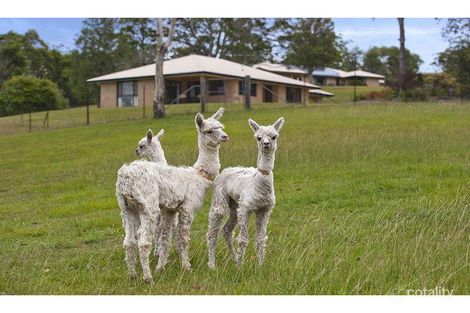 Property photo of 2562 Mount Mee Road Ocean View QLD 4521