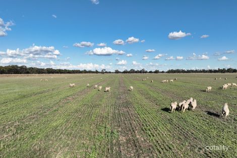 Warragoon Rd, Warragoon, NSW 2710
