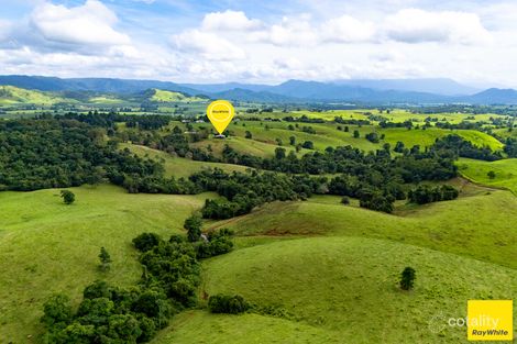 2071 Palmerston Hwy, East Palmerston, QLD 4860