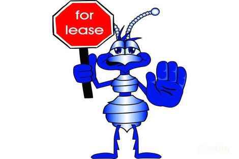 7 Third Ave, Maroochydore, QLD 4558