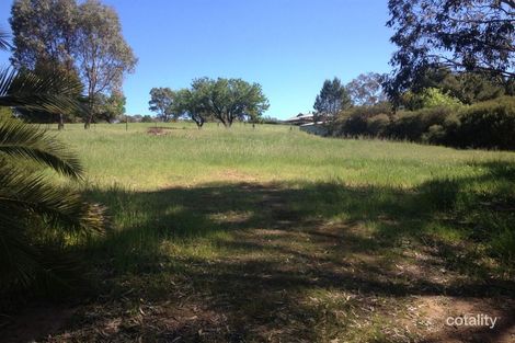 Property photo of 39 Moculta Road Angaston SA 5353