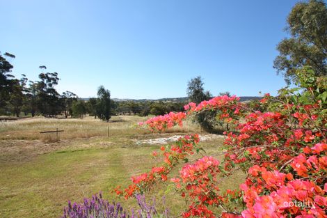 Property photo of 6610 Great Northern Highway Bindoon WA 6502