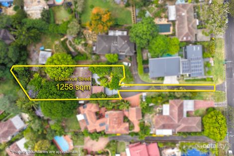 Property photo of 6 Bellevue Street Chatswood West NSW 2067