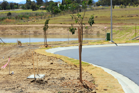 51-53 Jacob Dr, Rosenthal Heights, QLD 4370