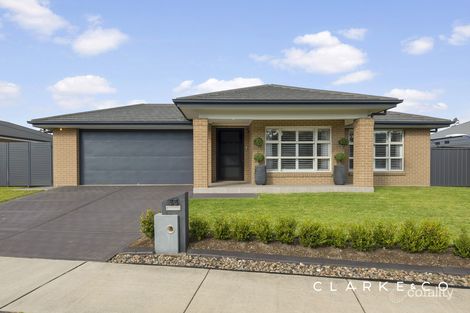 Property photo of 33 Swiftwing Close Chisholm NSW 2322